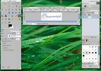 Gimp pour mac
