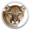 telecharger Mac OS X Mountain Lion