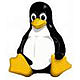 Bientôt des ordinateurs sous Linux chez HP ?