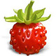Trop la classe les TShirts La Fraise