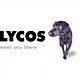 Lycos Europe tire sa révérence