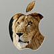 Mac OS X Lion poursuit son développement