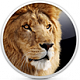 Lion sur clé USB disponible sur l'Apple Store