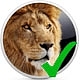 Astuces Mac OS X Lion: Dock capricieux en mode plein écran