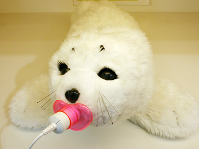 Paro recharge