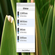 USB Backup