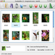 VisualLightBox