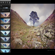 Landscape Pro
