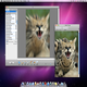 Image Tricks