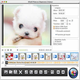 Xilisoft Photo en Diaporama Créateur