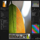 DarkTable