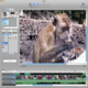 VideoCanvas