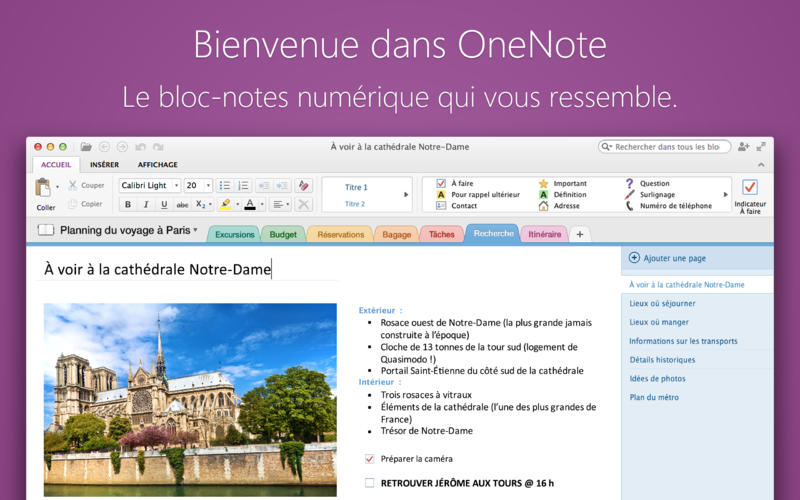 OneNote