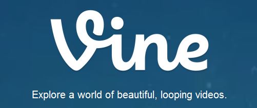vine